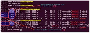 How To Kill Process In Linux & Terminate A Process In Unix - Nixcraft