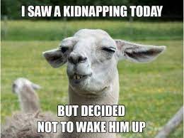 Of course, you can always text these funny jokes to the friends you've already made. Funny Pictures To Make Your Friends Laugh