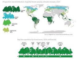Global Forest Resources Assessment 2020 Civilsdaily
