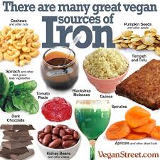 Either way, vitamin b12 is one vitamin that vegetarians should be very aware of. Vegan Love Homeschoolingmyveganzombie