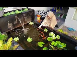 Kolam Ikan Koi Minimalis Youtube Small Water Gardens Koi Pond Fish Pond