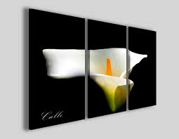 Mazzetto calle x 7 fiori artificiali da composizione decorazione lattice. Quadro Calla Stampe Su Tela Di Fiori 30artgallery
