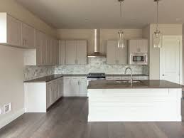 Evrgrn Engineered Wood Kitchen Cabinets In Light Gray Artisk Grey Countertops Kitchen Tiles Design Grey Kitchens