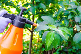 Organic home orchard spraying tips. Pesticide Use Shefalitayal