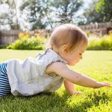 What age can babies crawl. When Do Babies Crawl The Lowdown On Baby Crawling Crawling Baby Baby Walking Baby