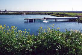 Folsom blvd flea market 8521 folsom blvd. The Fishery One Farm One Fish At A Time Global Aquaculture Advocate