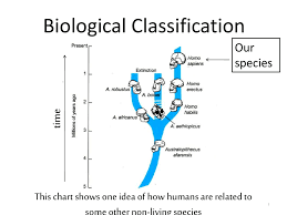 Chapter 18 Classification