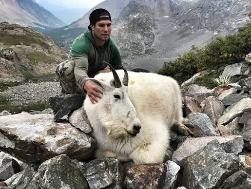 Colorado Mountain Goat Hunts - AEI Outfitter