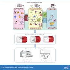 Maybe you would like to learn more about one of these? The Mechanism And Treatment Of Gastrointestinal Symptoms In Patients With Covid 19 American Journal Of Physiology Gastrointestinal And Liver Physiology