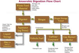 biomass to biogas e instruments e inst com