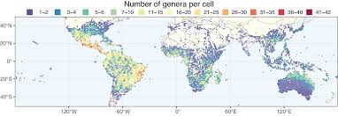 Image result for Mezoneuron welwitschianum