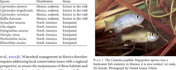 Jose luis ceballos is an athlete who competes internationally for mexico. Freshwater Fish Species That Are Extinct In The Wild Or Extirpated In Download Table