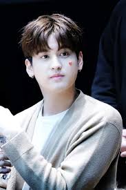 Chanwoo Ikon Amino