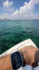 Image result for Sea Grey 2007 S-Max