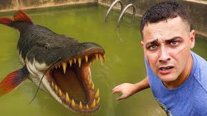 LEGAL King Cobra Sales (I Survive)