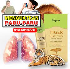 166 likes · 2 talking about this. Khasiat Cendawan Susu Harimau Posts Facebook