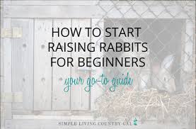 Maybe you would like to learn more about one of these? How To Start Raising Rabbits For Beginners Simple Living Country Gal