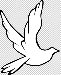 Cada uno nos revela algún aspecto de su carácter, o de su obra en la iglesia y en el creyente. Espiritu Santo En El Cristianismo Palomas Como Simbolos De Dibujo Paloma S S Cristianismo Blanco Mano Png Klipartz