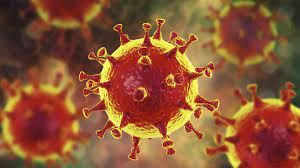 In humans and birds, they cause respiratory tract infections that can range from mild to lethal. Who Entlarvt Mythen Um Das Coronavirus Swr Wissen