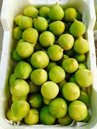 Lebanon تين بلدي Fruit Sprouts Vegetables