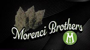 Blue Dream🫐🌀☁️This sweet berry tasting...