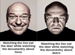 I feel like this was supposed to be the point of tlou 2 but I couldn't feel  anything but apathy for abby and her friends. I did not enjoy seeing the  lion