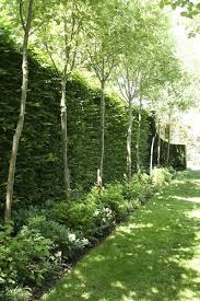 Ich Liebe Den Look Dieser Hecke Und Baummischung Fur Die Privatsphare Red Cow Farm Garten Garten Mobel Garten Garten Landschaftsbau Landschaftsbau
