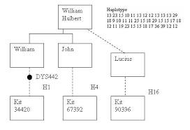 Hurlbutdna Mutation Descent Chart