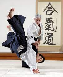 Aikido is also known as an art of coordination, control, and focus. About Aikido Mumei Shudan