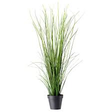 Fejka Artificial Potted Plant Grass 6 17 Cm Ikea Artificial Potted Plants Artificial Plants Outdoor Artificial Plants