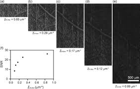 Automate data extraction from websites within point, click and extract. Visible Light Optical Coherence Tomography Angiography Vis Octa And Local Microvascular Retinal Oximetry In Human Retina Biorxiv