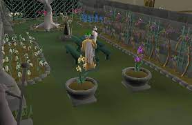 Give it a fun shape with smooth curves or use it to replicate the lines of your home. Garden Of Tranquillity Osrs Runescape Quest Guides Old School Runescape Help