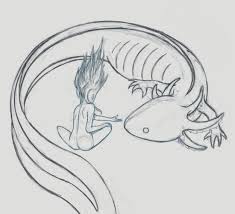 Giant Salamander Drawing Check out our salamander drawing selection for the very best in unique or custom, handmade pieces from our shops. giant salamander drawing