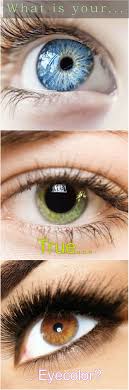 Light eyes are much more sensitive to the sun's harmful rays than darker the melanin gradually increases, and by about three years of age, their eyes will have darkened to their true color. Pin On Eyes