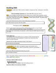 Stuck on a tricky anthropology question? Copy Of Building Dna Gizmo Student Sheet Docx Building Dna Vocabulary Double Helix Dna Enzyme Mutation Nitrogenous Base Nucleoside Nucleotide Course Hero