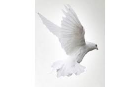 Bill Gene Siler Obituary (2024)