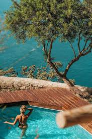 Image result for Faroa pusilla