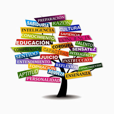 Émica: La tutoría estudiantil como dispositivo de aprendizaje relacional, metacognitivo y situado