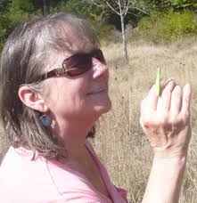 Dawn Babb Prochovnic and SmallTalk Learning: Birth Stories for Books, BUG,  by Robin Koontz