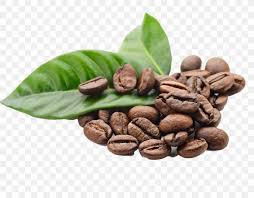 Arabica Coffee Espresso Kona Coffee Coffee Bean Png 1920x1500px Coffee Arabica Coffee Bean Brewed Coffee Cafe Also explore similar png transparent images under this topic. arabica coffee espresso kona coffee