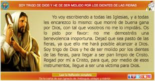 Misioneros De La Palabra Divina Reflexion Soy Trigo De Dios Y He De Ser Molido P Reflexion Dios Decir No