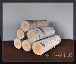 Decorative White Birch Logs For Fireplace White Birch Fireplace Logs Empty Fireplace Decor Fill A Fireplace Decor Fireplace Logs Fireplace
