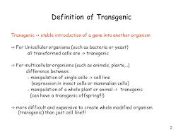 Transgenic Animals And Plants Ppt Video Online Download