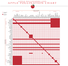 Pin By Jessica Foster On Horticulture Apple Chart Apple Tree