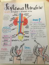 pin em mapas mentais