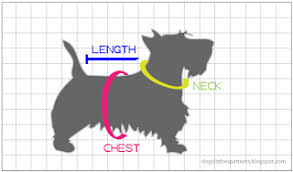 How do you measure a dog? How To Measure Your Dog For Clothing Mimi Tara
