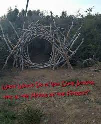 13417515 1110127382383597 5298291712542900023 N Jpg 540 663 Halloween Maze Halloween Haunted Houses Outdoor Halloween