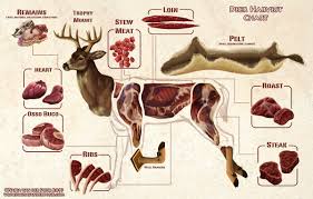 52 Most Popular Cuts Of Moose Chart