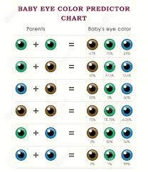 baby predictor eye color chart template