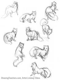 Cartoon Fox How To Draw A Fox Step By Step Fox Sketch Fox Drawing Animal Drawings